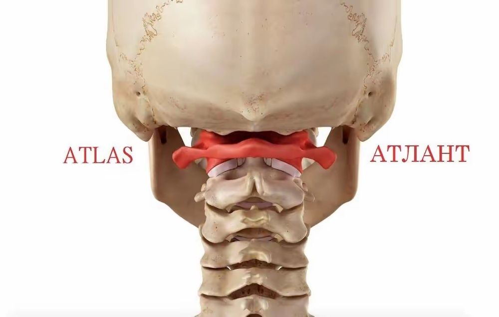 Массаж миофасциальный