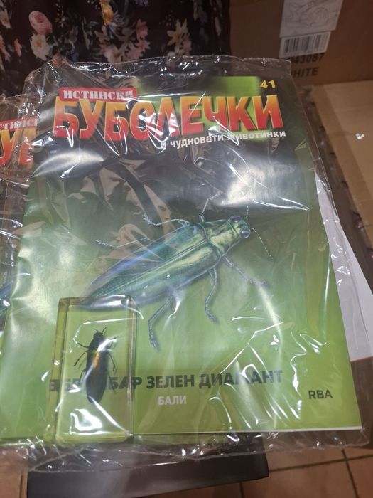 Списание Буболечки