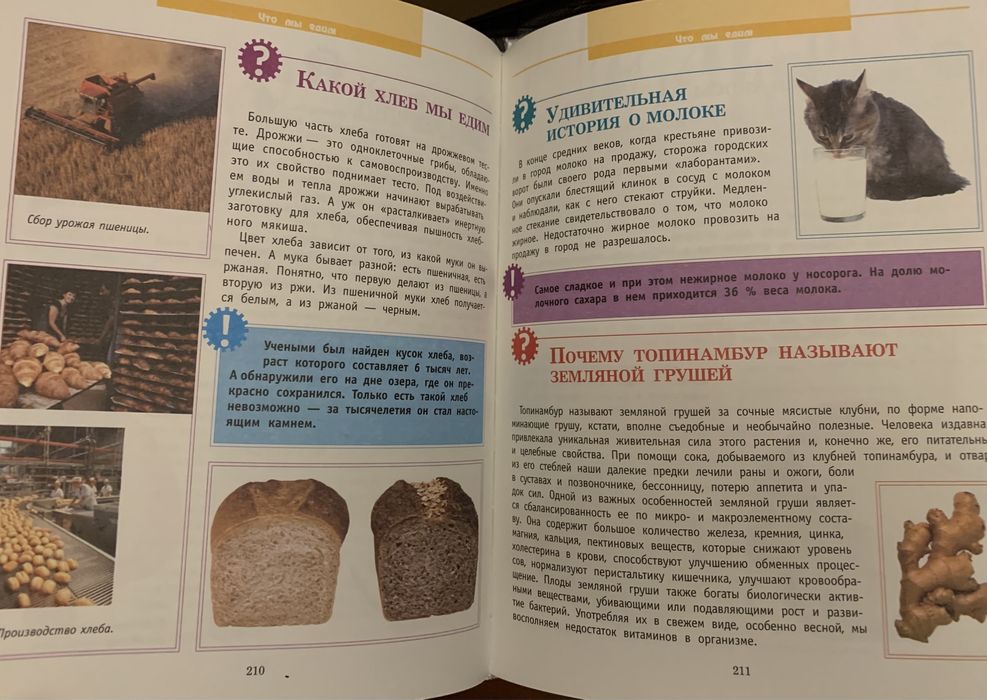 Детская энциклопедия Что?Зачем?Почему?