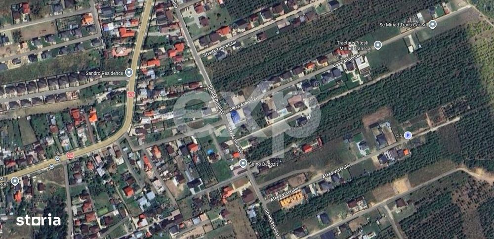 Teren 1.500 mp de vanzare in Trivale Platou – Strada Prunilor, Pites