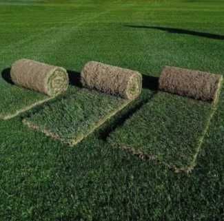 Gazon Rulou Sport premium