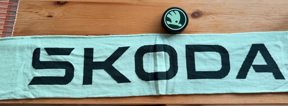 Шал на Шкода skoda