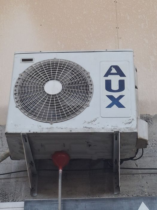 Aux kandisaner 18 lik