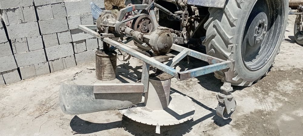 Beda yantoq oʻt oʻrsdigan kaselka