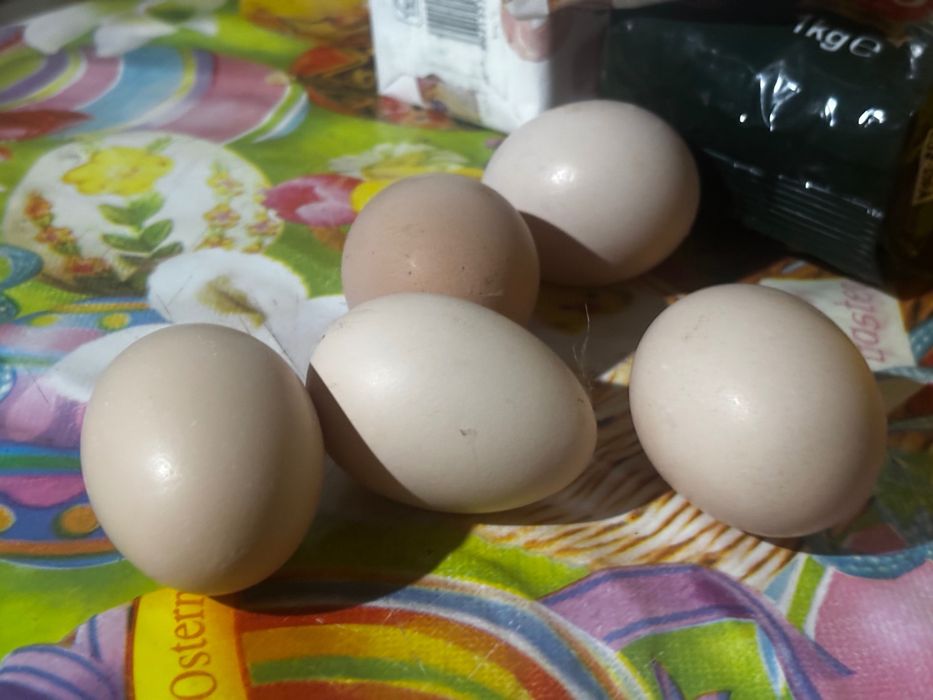 Ouă de țară , de vânzare