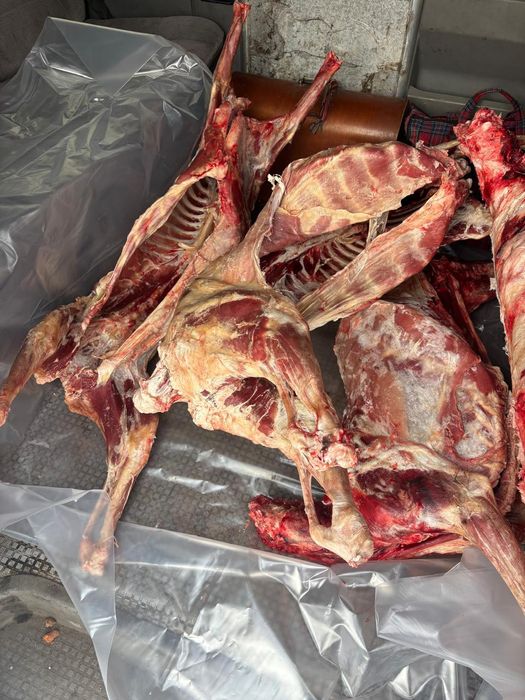 Продам мясо баранина