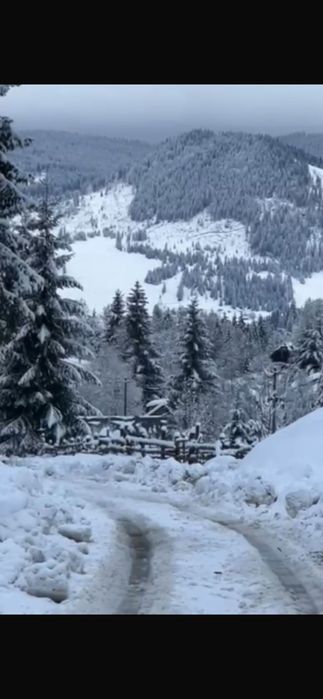 DIRECT PROPRIETAR Atractiv pentru pensiune/casă de vacanță): Teren de Poveste la Munte – 6.000 mp Intravilan + 6.000 mp Extravilan,Dorna Arini-Ortoaia