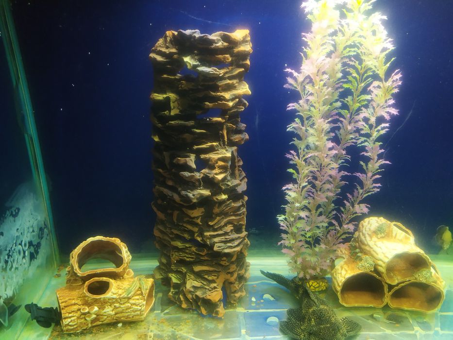 Для высоких аквариумов. Декор керамика.