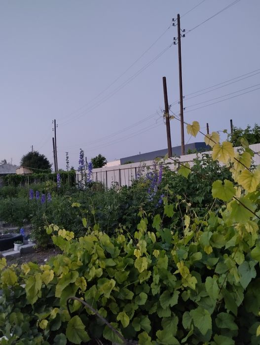 Продам дом на проездах