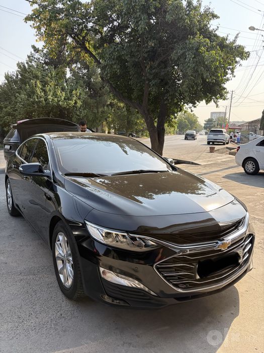 Malibu 2 Premier 2023