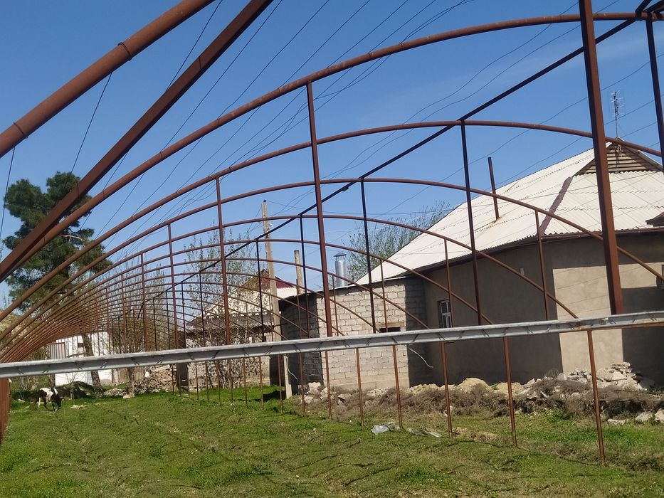 Issiqxona karkazi sotiladi