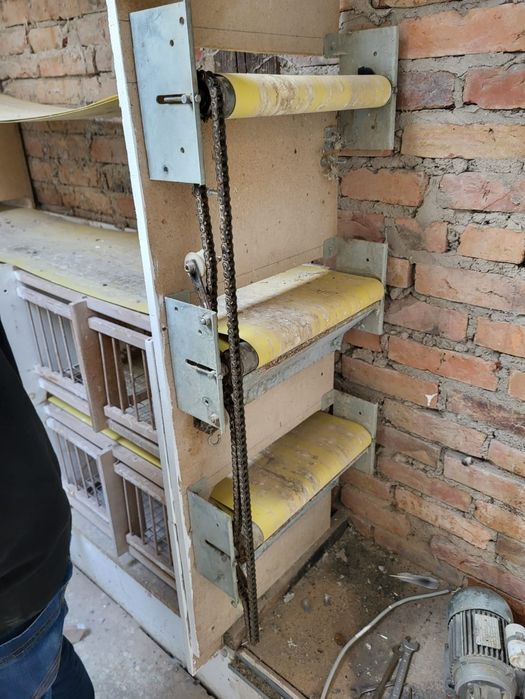 Boxe pentru porumbei cu bandă