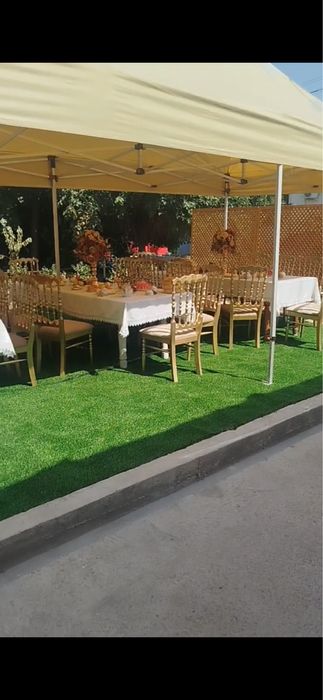 Prakat пракат зелёний зона gilam гилам