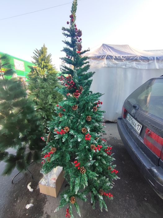Ёлка 22000 теңге