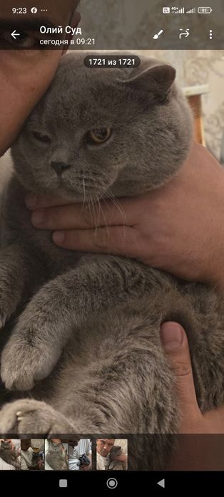 Зотлий Мушук! эрка ва аёл 2 таси 160$