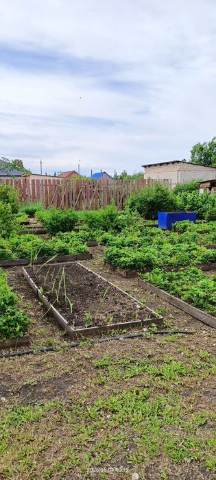 Продам дом в Солнечном