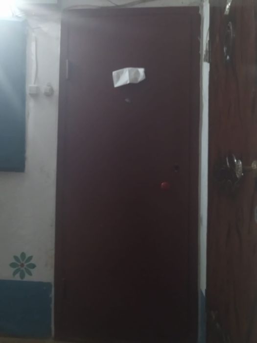 Дверь металлическая