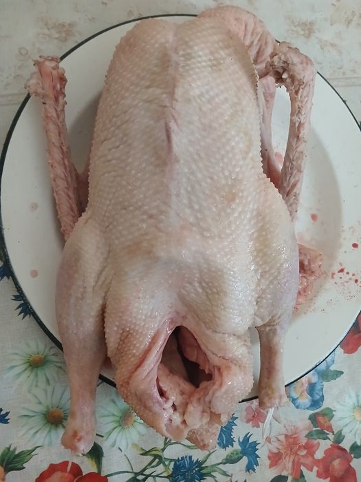 Продам Гусей Домашние