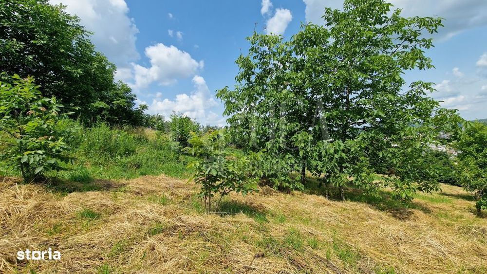 Teren intravilan pentru constructii de vanzare in Zorilor, Cluj Napoca