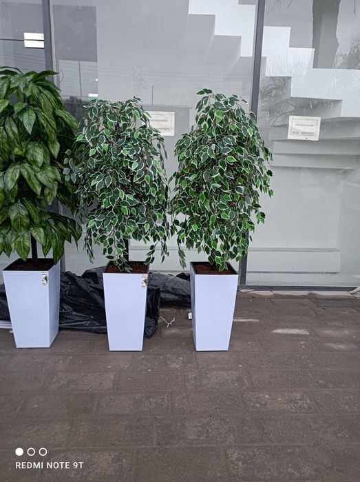 Искусственный деревя декоративные