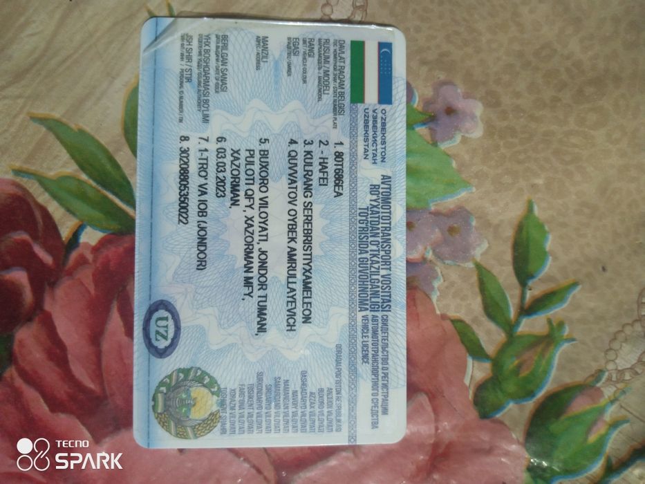 Xitoy avtomobili hafie