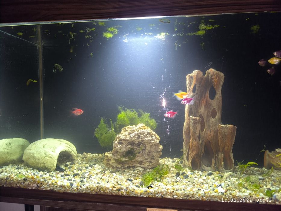 Аквариум 250 литров (стекло)