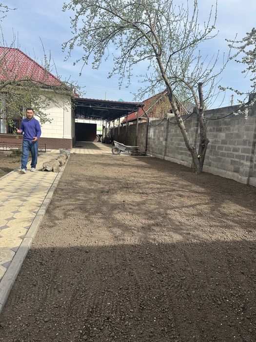 Посевной газон под ключ