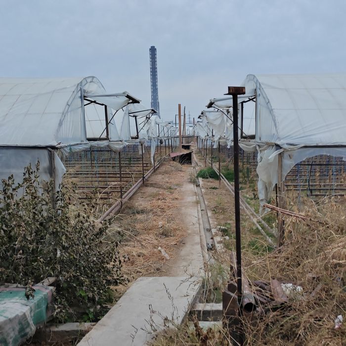 Teplitsa ferma 2.6 gektar nazarbe muzimpix tarafta sotiladi