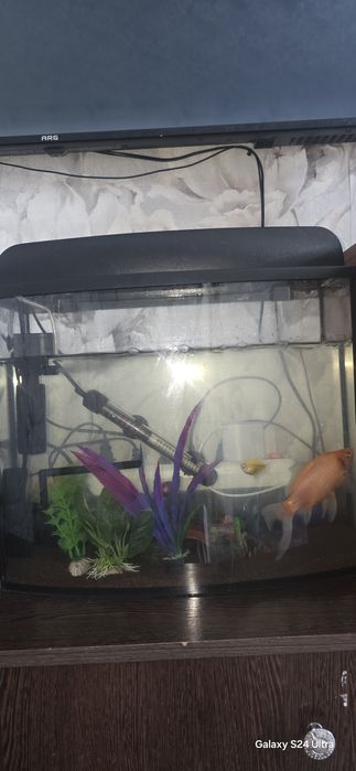 Продам аквариум 30 литров