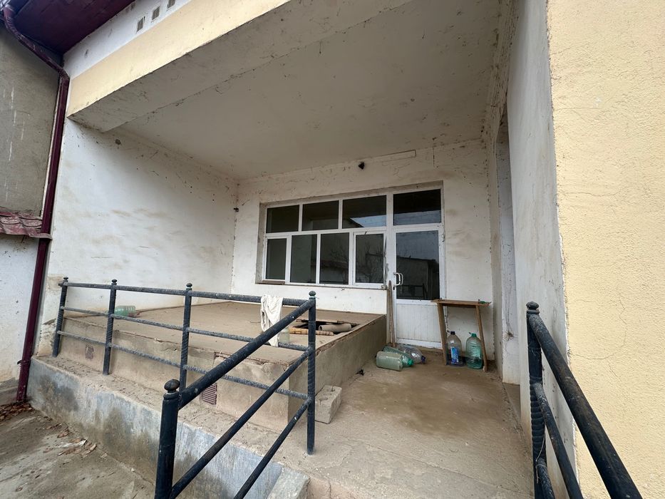 Katej kotej катеж