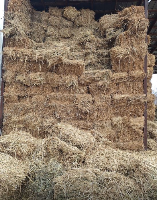 Продам клевер в перемешку с сеном