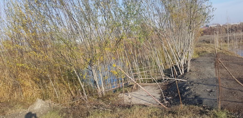 Kuchmas mulk sotiladi.