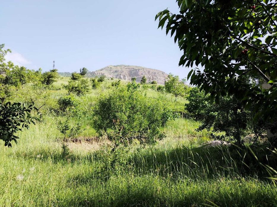 Дом-дача в горах 23 сот {Нанай]