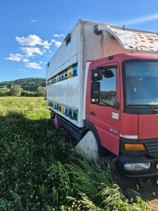 Camion apicol mercedes atego 815