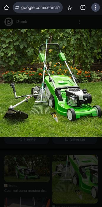 *DEFRISARI/Cosit-Demolari- Zugravit-Tuns Gazon