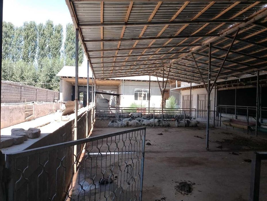 Tayyor ferma sotiladi