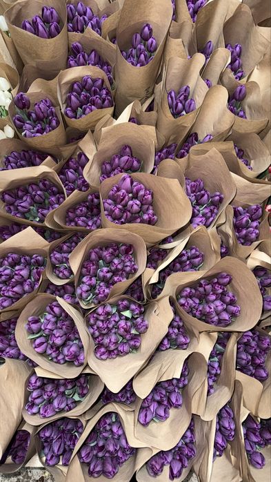 тюлпаны в наличий оптом 370тг