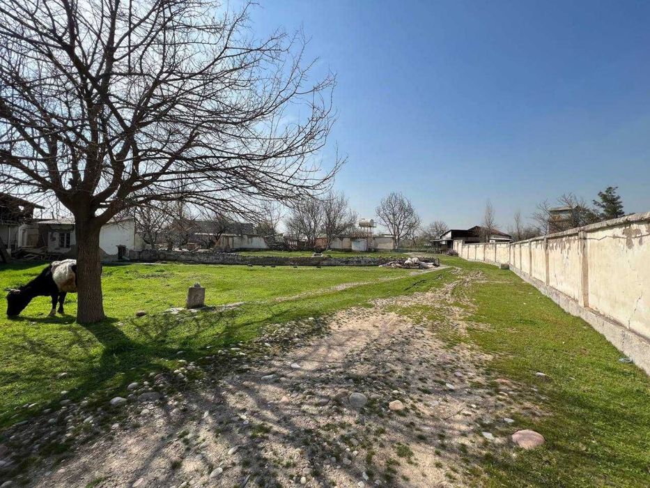 "Yangi O'zbekiston" 50 сот.