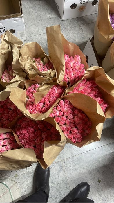 Оптом и в розинцу тюльпаны