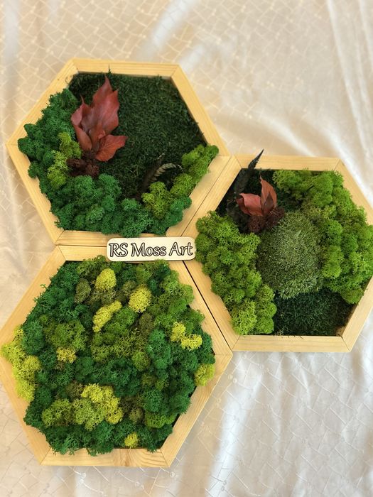 Set 3 hexagoane premium