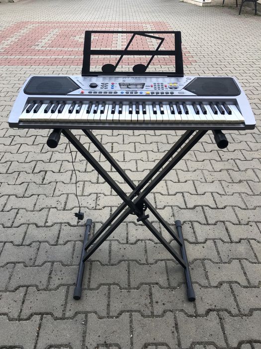 orga electronica