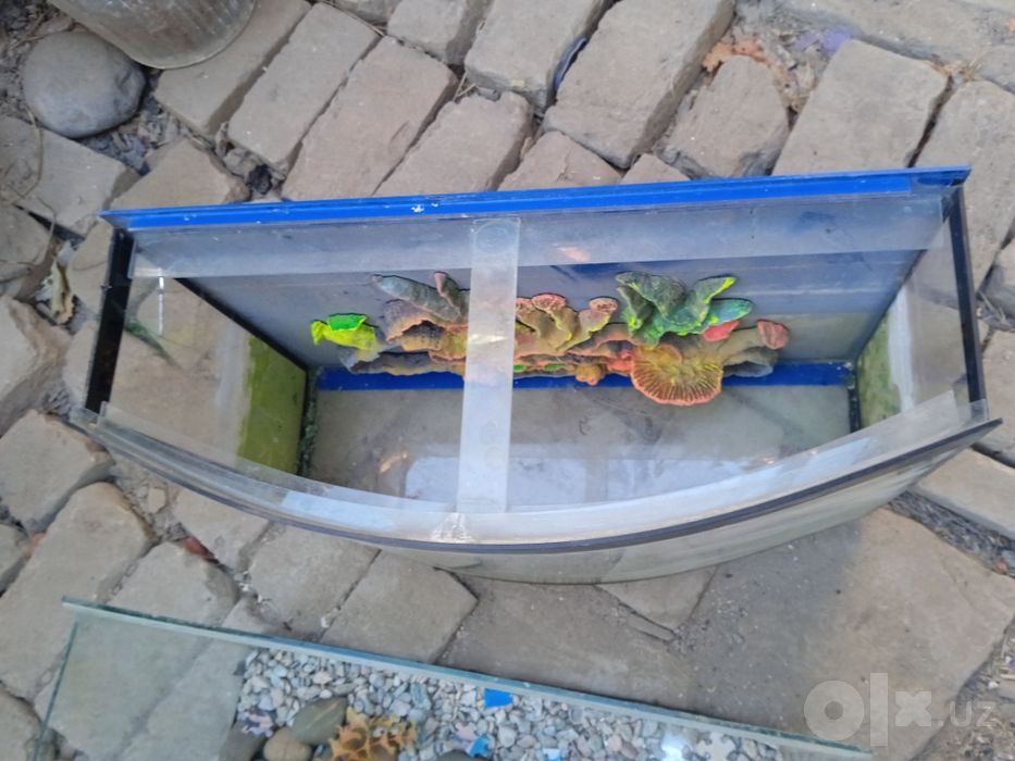 Продаются аквариумы
