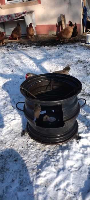 Pirostri tuci.de curte.