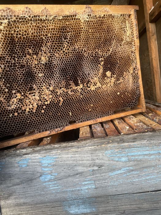 Пчеловодческое оборудоваеие