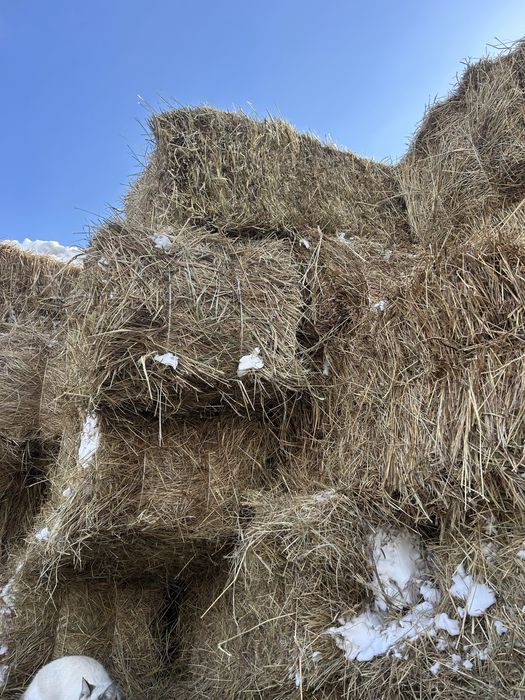 Продается сено в тюках