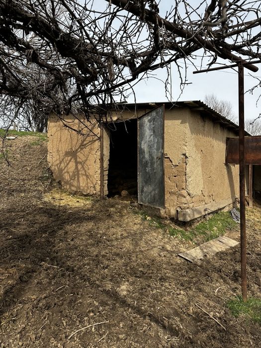 4 xona yashash uchun 4 xona tovuq juja va bol qoy boqsa buladigan joy