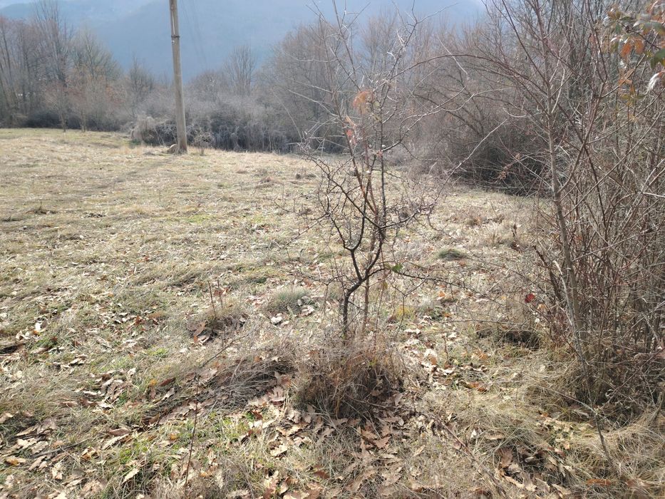 Продава се Парцел в с. Добърчин, Област София-област - 6500 кв.м за 10 €/кв.м - Снимка #1