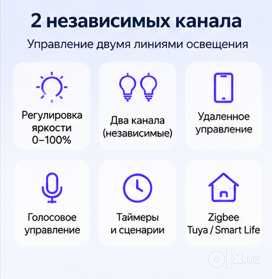 Умное Zigbee-реле 2 канала / 10A / модуль для двух линий света