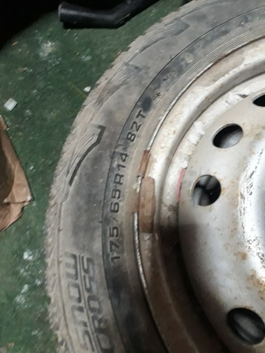 14 нексия донгелек