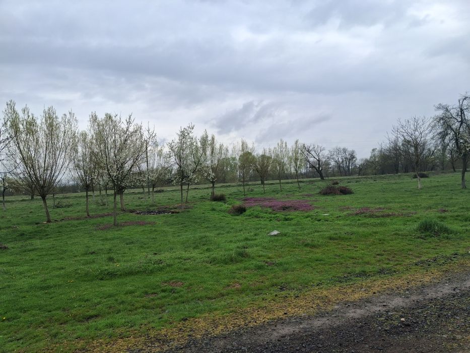 Casă de vânzare Cutina